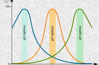 Actividad catalítica, katal (kat)