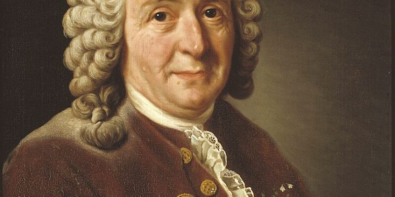 Carolus Linneo