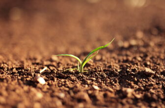 Cómo saber el valor catastral de tu terreno, suelo o parcela